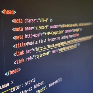 大众传媒时代开始,传媒观众观念的发展就走过了分众化时代